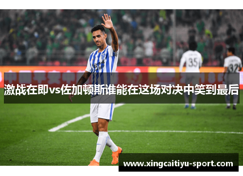 激战在即vs佐加顿斯谁能在这场对决中笑到最后