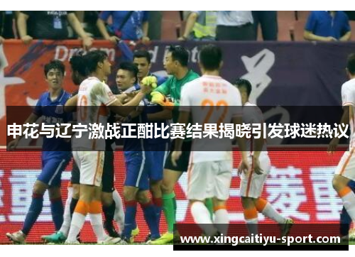 申花与辽宁激战正酣比赛结果揭晓引发球迷热议
