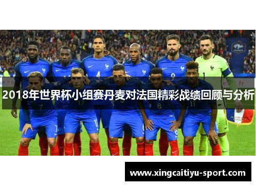 2018年世界杯小组赛丹麦对法国精彩战绩回顾与分析